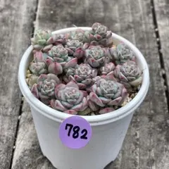 RUKIRUKI様 リクエスト 2点 まとめ商品