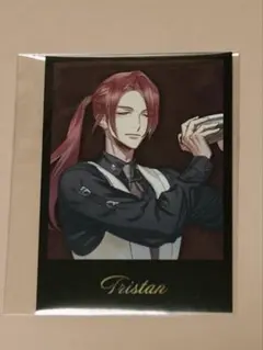 FGO HUB ランダム特典 トリスタン