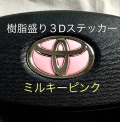 Item thumbnail for item 5e0b8d3e-cdc3-4e90-9698-59f8c8eab2a3