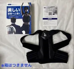 Amazonベストセラー商品　DEZIYUA（デズヤ) 姿勢サポーター M