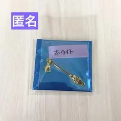 魔法使いの約束 トレーディング箒チャーム 全21種 魔法使いの約束 トレーディング箒チャーム 全21種