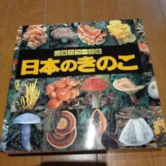 Item thumbnail for item de4f2c9f-78d6-406a-8db5-f6250564782e