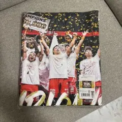 千葉ジェッツ20-21シーズン 優勝記念フォトバスタオル【未開封/未使用】