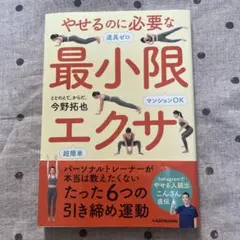 やせるのに必要な最小限エクサ マンションOK 道具ゼロ 超簡単