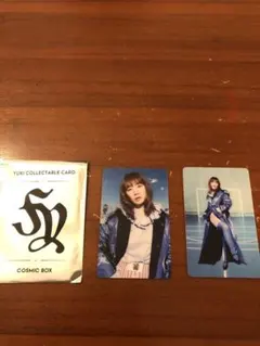 【新品】 YUKI FC限定 コレクタブルカード ２種セット（青コーデ）