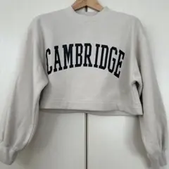 クロップド 裏起毛