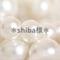 shiba︎ ⭐︎様 リクエスト 9点 まとめ商品