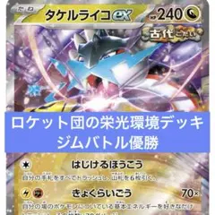 本格構築 【タケルライコオーガポン】デッキ＆二重スリーブ 本格構築 【タケルライコオーガポン】デッキ＆二重スリーブ