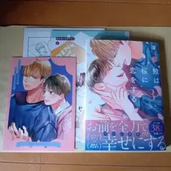 鮫は桜に恋をする　3巻　涼　コミコミスタジオ特典付き