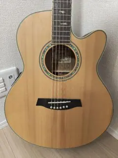 2026年最新】Ibanez アコースティックギターの人気アイテム - メルカリ