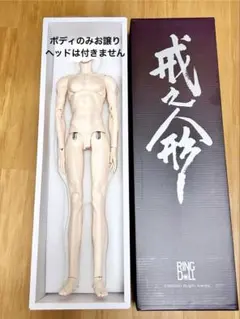 Ringdoll RGMbody-5◆ボディのみ◆ノーマル肌