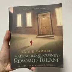 The Miraculous Journey of Edward Tulane
