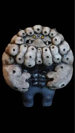 COPIAPOA MONSTER 黒王丸菊紋 日本限定版ver 羅本製所 - メルカリ