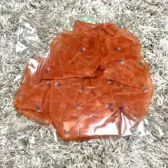 なにわのにわ ビッグシュシュ シュシュ なにわ男子 道枝駿佑 西畑大吾 大西流星