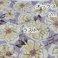 ラスト 2m 線描きフラワー パープル オックス