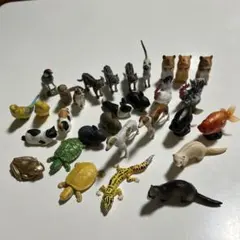 チョコエッグのサムネイル