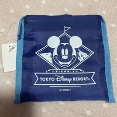 東京ディズニーリゾート エコバッグ