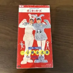 シスターラビッツ 安室奈美恵 鈴木蘭々 - メルカリ