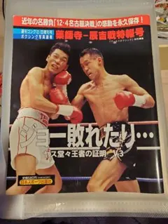 薬師寺保栄 ボクシンググローブ サイン入り　ウイニング　　8oz m63052162713_1.jpg?1682475482