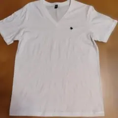 POLO BCS グンゼ製 Vネック Tシャツ M ホワイト ワンポイント刺繍