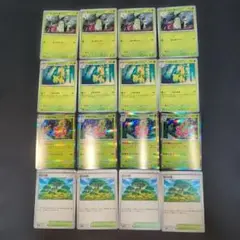ポケモンカード　メガニウム　ベイリーフ　チコリータ　活力の森　セット