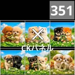 【351】CK様パネル　わんこ