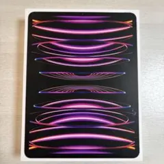 iPadPro第6世代128GB Wi-FiモデルApple pencilセット