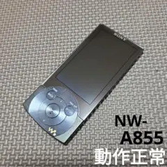 SONY ウォークマン 「NW-A846」シルバー - メルカリ