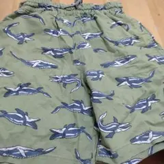 モサザウルス柄 半ズボン サイズ120
