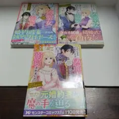 王妃になる予定でしたが、偽聖女の汚名を着せられたので逃亡したら、皇太子に溺愛さ…