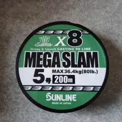 Item thumbnail for item c01c094f-56b1-4e85-9a93-8c7ea053ccec