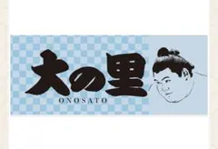 大の里 応援タオル