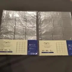 Item thumbnail for item 5a234b41-a9ed-4f48-8020-83ef8ae0fceb