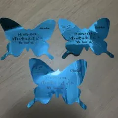 INI 落下物 田島将吾