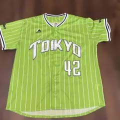 東京ヤクルトスワローズ ユニフォーム 石山泰稚投手 ISHIYAMA 背番号12