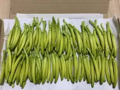 金針菜 きんしんさい 300g以上(4)のサムネイル