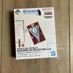 HUNTER×HUNTER 1番くじ　I賞　ダブルハンターライセンス