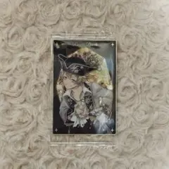 【即購入◎】ツイステ ラギー・ブッチ まとめ売り カード