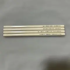 SHE'S 武道館 えんぴつみくじ 限定グッズ
