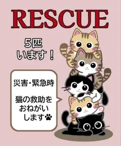 Item thumbnail for item 27378e2b-0bc2-456f-97d1-0023824cc51c