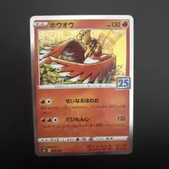 25th ポケモンカードゲーム