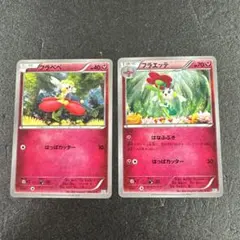 まとめ売り　XY フラベベ　フラエッテ　ps684