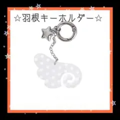星 チャーム 羽根 アクリル キーリング ウィッシュコア 天使 空 雲 透明
