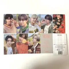 ENHYPEN ORANGE BLOOD weverse albums トレカ