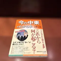 Item thumbnail for item a2c24b23-e00b-4e73-a12f-983fd491d0db