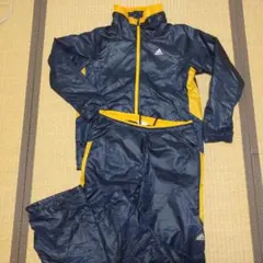 Item thumbnail for item 67b94322-058c-4952-900b-8217a1cb59c9