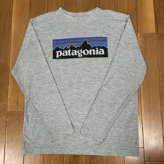 美品　patagonia キャプリーンクールデイリー Tシャツ XL
