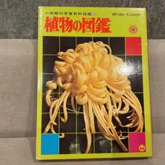 2026年最新】小学館の学習百科図鑑の人気アイテム - メルカリ
