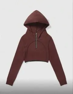 ブラウン フードクロップドパーカー パイピング サイバー y2k オータム 薄手