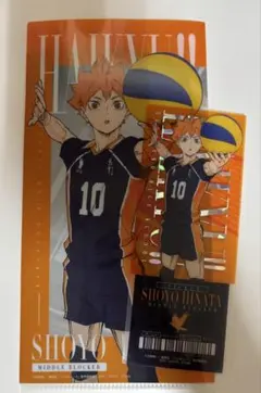 ハイキュー!! 1番くじ　I賞　日向翔陽